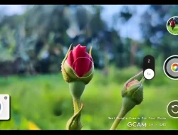 Download GCAM LMC 8.4 dengan Config Color Stabilizer 2 untuk Android 10-15