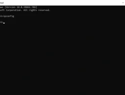 Fungsi ipconfig cmd serta Macam-Macam Contoh Perintahnya